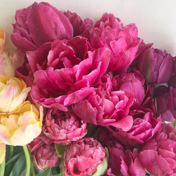 Meet your Posher, S - Picture 1 of 1